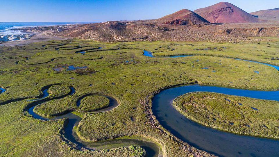 Wetlands San Quintin Baja California