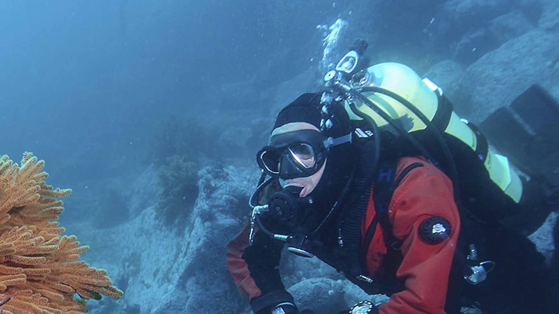 Diving, Baja California