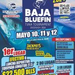 Baja Blue Fin